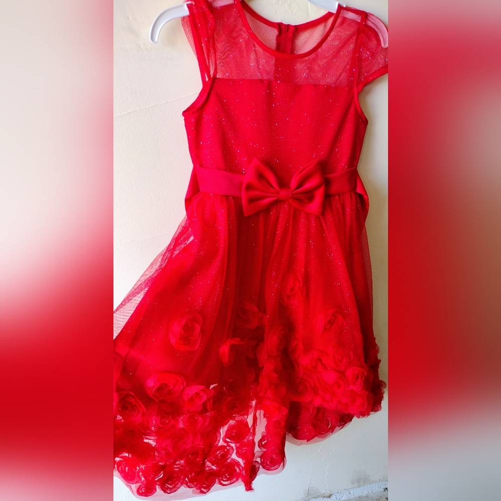 Rare edition dress